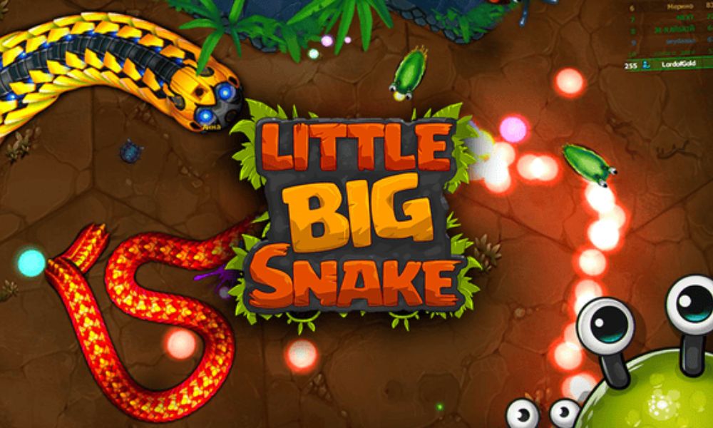 Little big snake